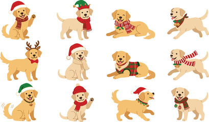 Fototapeta premium Christmas Golden Retriever Puppy Character Vector Set with Santa Hats Scarves and Reindeer Antlers for Holiday Greeting Cards and Festive Digital Designs