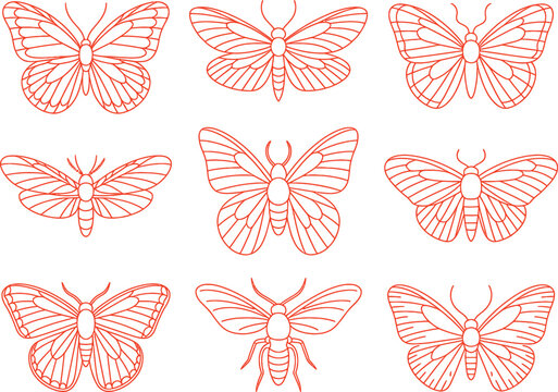 Red line drawings of various butterflies and moths on white background