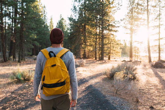 USA, North California, rear view of young man on a path in a forest near Lassen Volcanic National Park