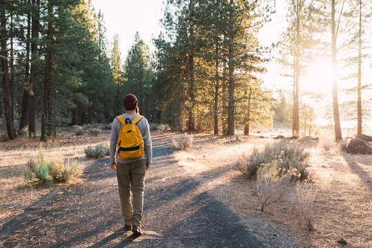 USA, North California, rear view of young man walking on a path in a forest near Lassen Volcanic National Park