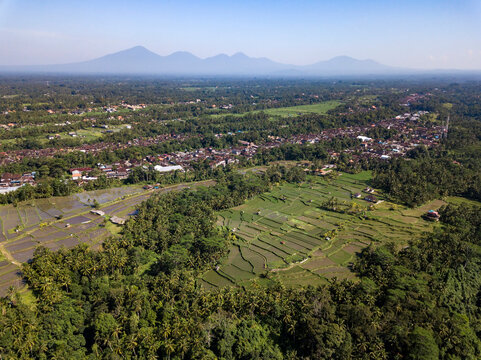 Indonesia, Bali, Ubud, Aerial view of rice fields
