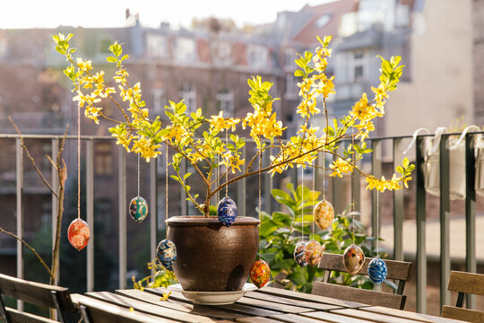 Balcony Easter decoration in Forsythia