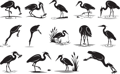 Fototapeta premium Collection of various heron poses and actions in black silhouette on white background