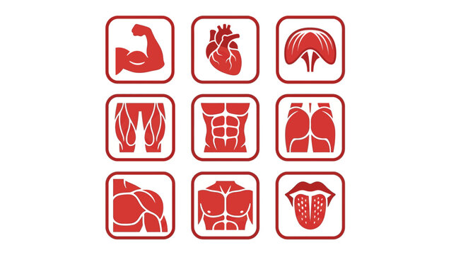 Anatomy Icons: Muscles, Heart, Lungs, Abs, Tongue, Body Parts