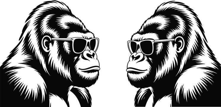 Two Black and White Gorillas Wearing Sunglasses Facing Each Other on White Background primate cool