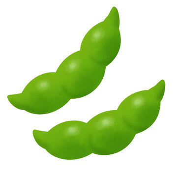 二個の枝豆のイラスト