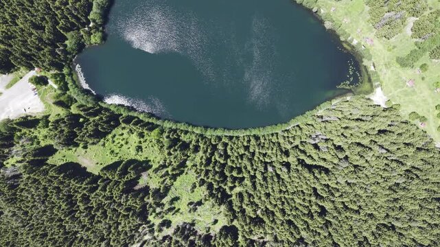 Cinematic Drone View of Karagol Lake in Savsat Artvin Turkey Surrounded by Misty Forest and Black Sea Mountain Landscape