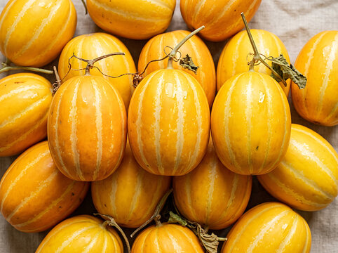 Fresh Ripe Cantaloupes Arranged Together in a High Angle Shot Showing Vibrant Yellow Striped Rinds