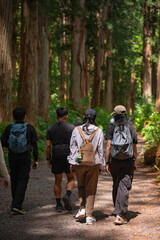 Fototapeta premium Earth Day concept on sustainability environmental renewable forest hiking trail group backpack tree nature travel outdoor people Group hiking along forest trail with backpack, tall tree, nature