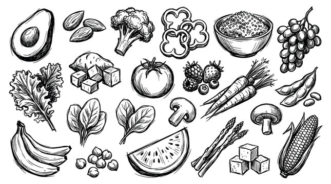 Diverse collection of hand-drawn healthy fruits, vegetables, and nuts in a classic sketch style on a clean white background