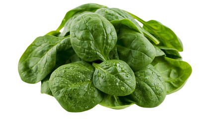 Fototapeta premium Fresh green spinach leaves with water droplets