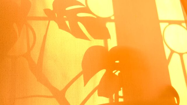 Light and shadow sunset on retro fabric texture, pink color..Vintage textile background. Abstract backdrop with floral pattern, overlay, transparent. Tropical style aesthetics. Monstera liana.