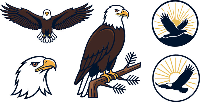 American Bald Eagle Clipart Vector Collection Featuring Perching Mascot on Pine Branch Flying Soaring with Wings Outspread and Round Sunburst Badge Icons