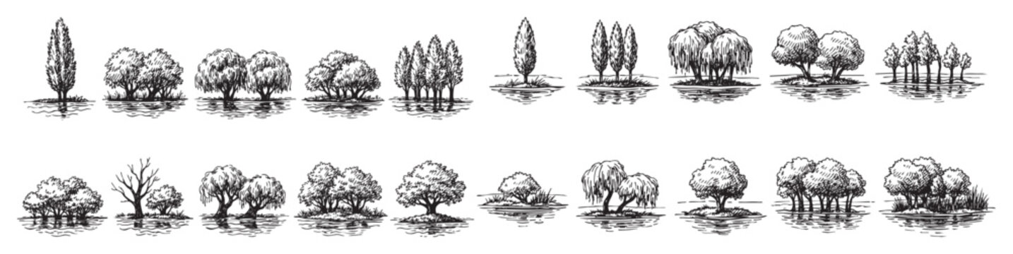Various hand-drawn trees and tree groups with reflections in water, presented as a black and white sketch on a clean white background