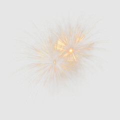 Obraz premium Fireworks display with bright sparks on transparent background at night during celebration event