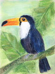 Obraz premium Toucan in jungle. Tropical bird of paradise. Hand painted illustration