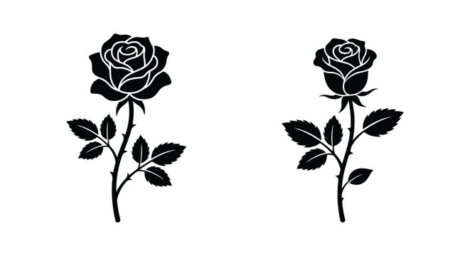 Two rose silhouettes with stems and leaves against a white background a floral depiction silhouette roses