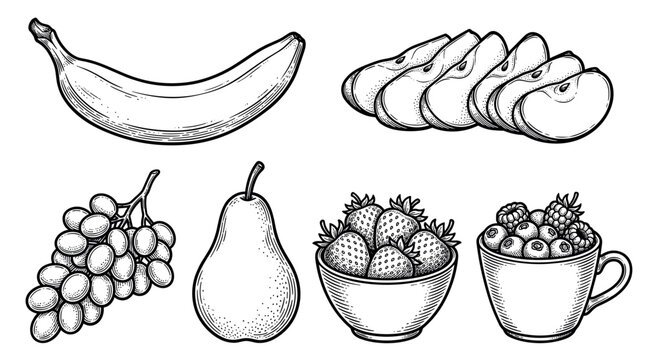 Fresh organic fruits and berries vector illustration set in vintage engraving style