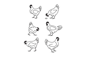 Fototapeta premium Chicken line art illustrations on a white background