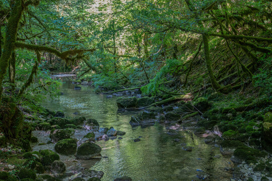 Gorges de l'Ab&icirc;mesSaint-Claude, Jura, France, Europe