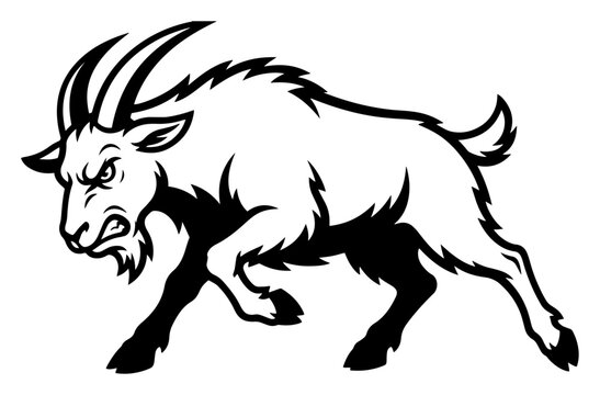 Angry goat with horns in aggressive charging stance