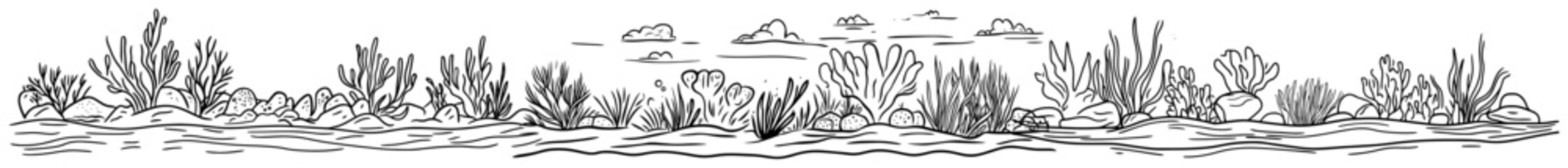 Underwater coral reef and sea plants in hand drawn line art style © Aisha Kudorova