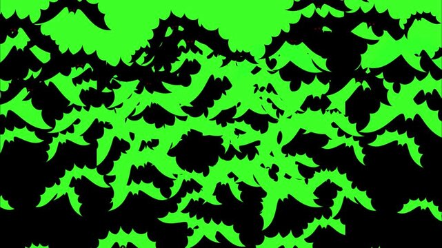 Group of bats flying transition on green screen background. Bats flying wipe transition overlay for compositing and presentation. Halloween Spooky 2d  Bats covering screen transition on alpha channel.