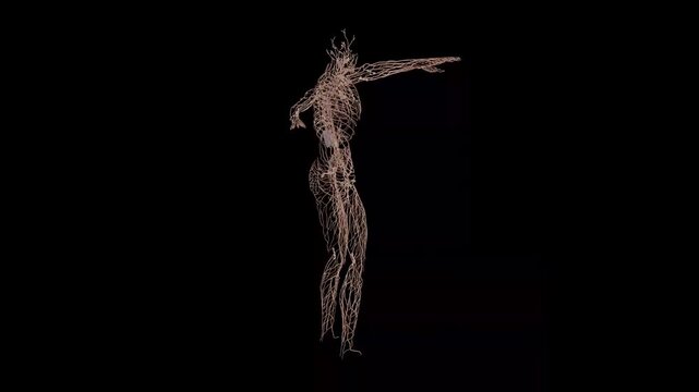Human nervous system in artistic 3D visualization