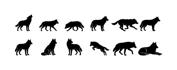 Obraz premium Wolf silhouette set, various poses and movements including howling, walking, running, jumping, and resting, in a natural habitat, isolated on white.