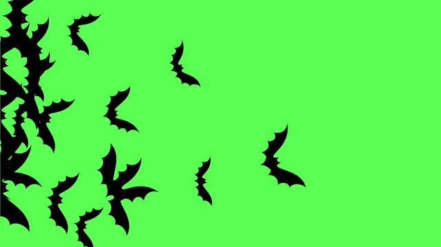 Group of bats flying transition on green screen background. Bats flying wipe transition overlay for compositing and presentation. Halloween Spooky 2d  Bats covering screen transition on alpha channel.