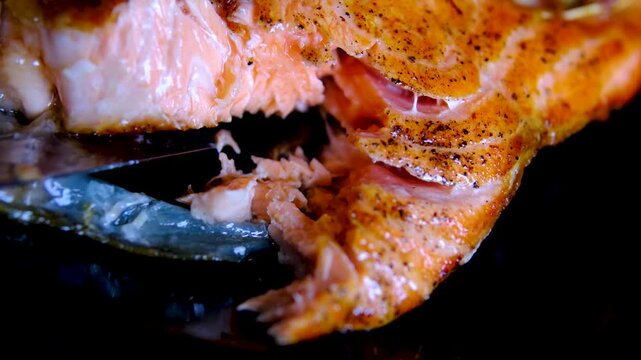 Step by step pan fried salmon steak recipe with fresh trout fillet seasoning oil and golden crust cooking process in black frying pan for homemade seafood meal