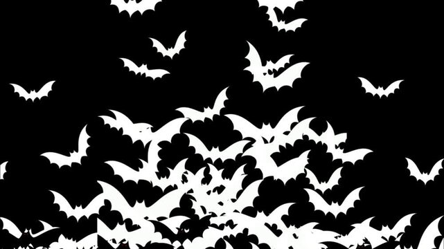 Group of bats flying transition on green screen background. Bats flying wipe transition overlay for compositing and presentation. Halloween Spooky 2d  Bats covering screen transition on alpha channel.