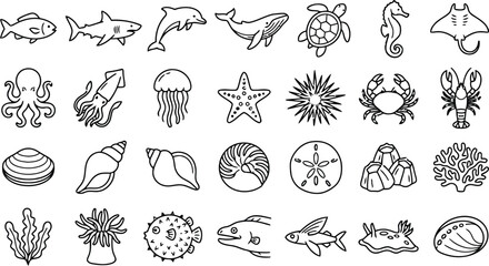 Marine Life Collection Black Line Vector Illustration On White Background © BithiDas
