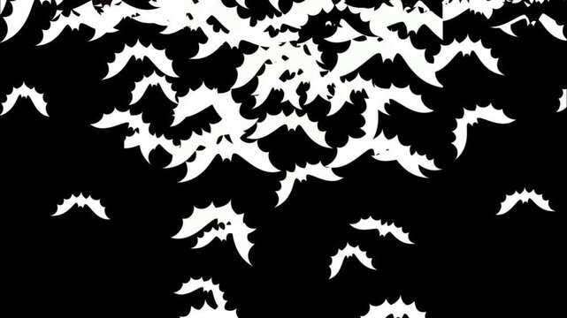 Group of bats flying transition on green screen background. Bats flying wipe transition overlay for compositing and presentation. Halloween Spooky 2d  Bats covering screen transition on alpha channel.