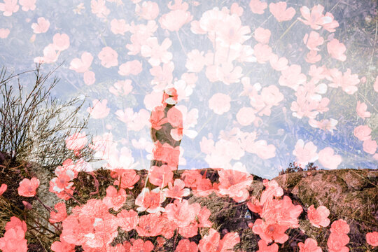 person in the garden