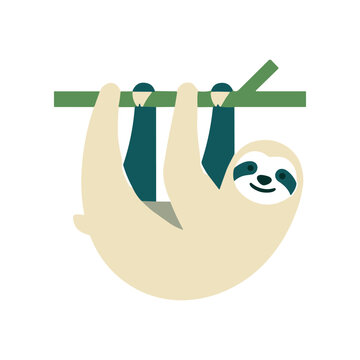 Sloth Hanging from Green Branch Tree.