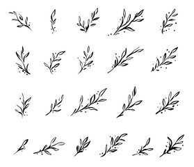 Naklejka premium Ink Botanical Set – Handgezeichnete botanische Zweige und Blätter als Vektor Illustration Set. Für Branding, Papeterie, Hochzeitseinladungen, Logos, Verpackungen und kreative Designprojekte.