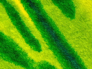 Abstract Textured Lime and Emerald Striped Fleece. Macro view of a vibrant lime green gradient and emerald soft fleece fabric. Perfect for cozy textile designs and vivid backgrounds. © Robert Yap