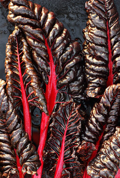 Flat lay top view of fresh red Swiss chard silverbeet leaves with water droplets on a wet black background