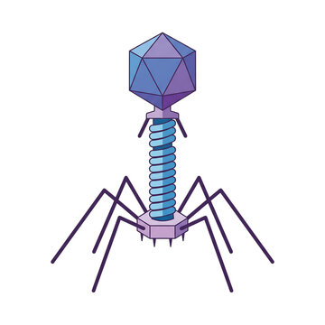 Bacteriophage T2 Virus Isolated on Transparent Background