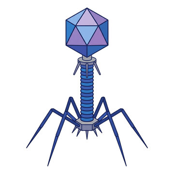 Bacteriophage T2 Virus Isolated on Transparent Background