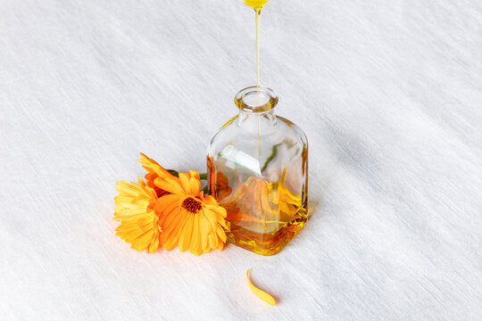 Pouring natural calendula essential oil into a small glass bottle