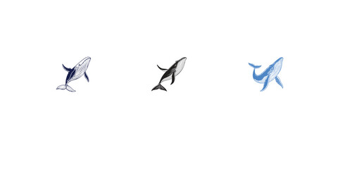 Set of three minimal whale illustrations in blue and black line art style for decoration. © humayra