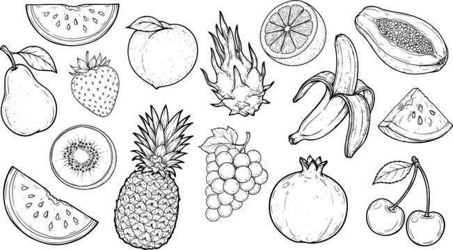 Hand drawn black and white tropical fruit vector collection with dragon fruit pineapple banana papaya watermelon kiwi pear and grape elements isolated on white background