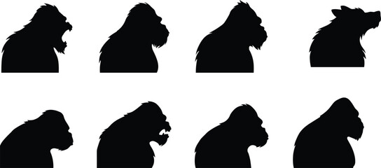 Primate head silhouettes set including gorilla chimpanzee and monkey profiles isolated © Sabbir