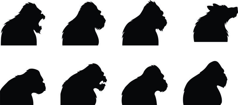 Primate head silhouettes set including gorilla chimpanzee and monkey profiles isolated