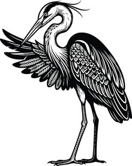 Fototapeta premium Great blue heron standing bird vector woodcut illustration raised wing