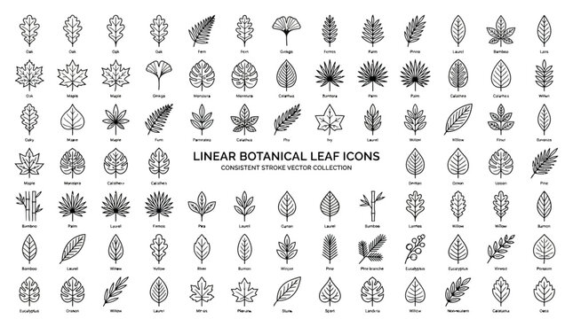 Linear Botanical Leaf Icons Collection.