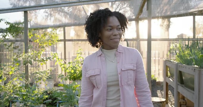 Sun shifting African woman in pink top walking greenhouse, tweaking pipe for growth, smiling