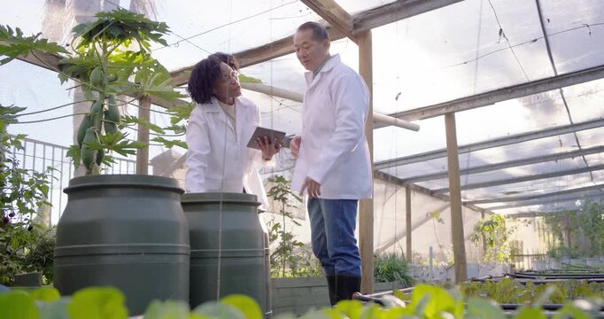 Diverse researchers in lab coats consulting tablet and inspecting greenhouse barrels for crop study